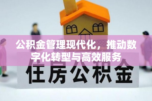 金普新区公积金管理现代化，推动数字化转型与高效服务