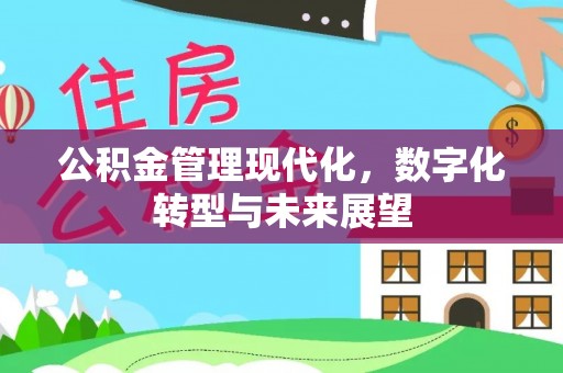 金普新区公积金管理现代化，数字化转型与未来展望