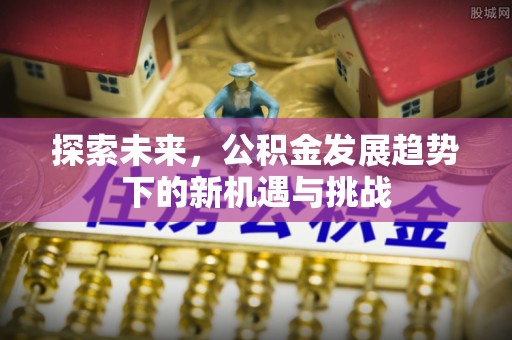 金普新区探索未来，公积金发展趋势下的新机遇与挑战