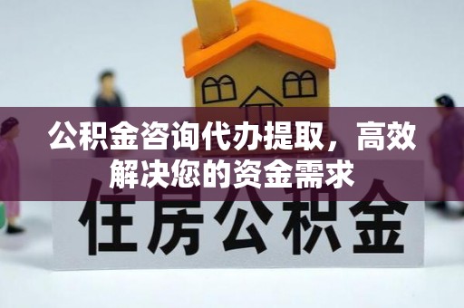 金普新区公积金咨询代办提取，高效解决您的资金需求