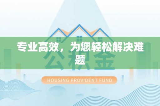 金普新区专业高效，为您轻松解决难题