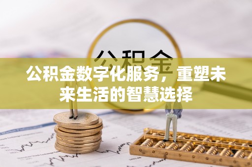 金普新区公积金数字化服务，重塑未来生活的智慧选择
