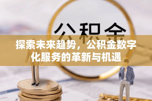 金普新区探索未来趋势，公积金数字化服务的革新与机遇