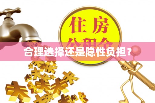 金普新区合理选择还是隐性负担？