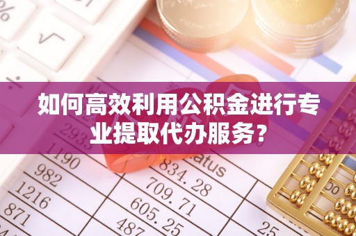 金普新区如何高效利用公积金进行专业提取代办服务？