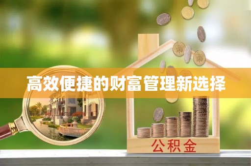 金普新区高效便捷的财富管理新选择
