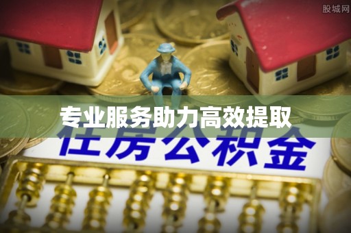 金普新区专业服务助力高效提取