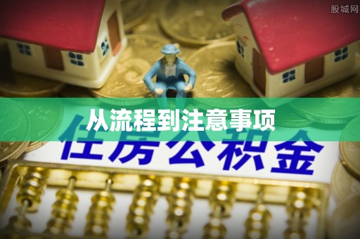 金普新区从流程到注意事项