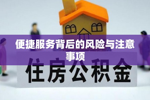 金普新区便捷服务背后的风险与注意事项