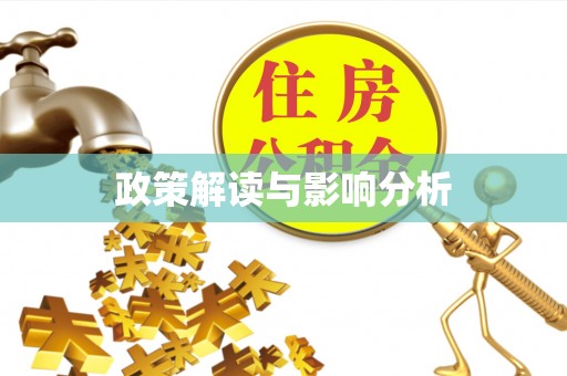 金普新区政策解读与影响分析