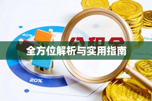 金普新区全方位解析与实用指南