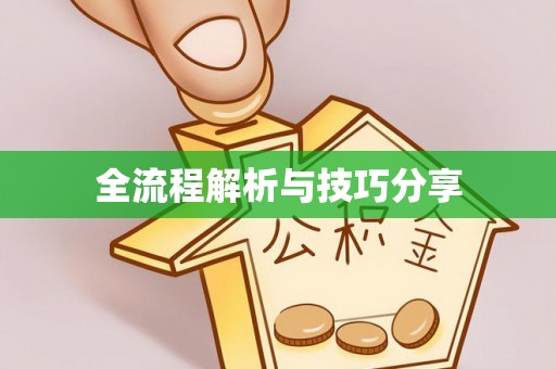 金普新区全流程解析与技巧分享