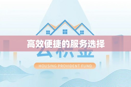 金普新区高效便捷的服务选择