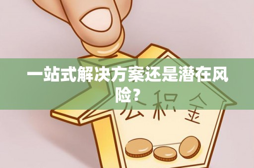 金普新区一站式解决方案还是潜在风险？
