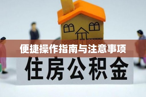 金普新区便捷操作指南与注意事项